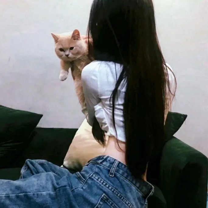 罗斯威尔第四季